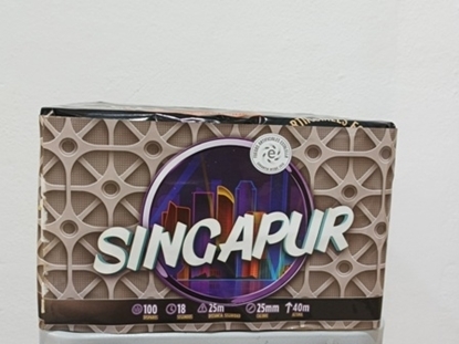 Foto de BATERIA SINGAPUR