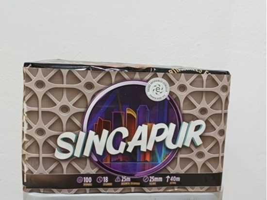 Foto de BATERIA SINGAPUR